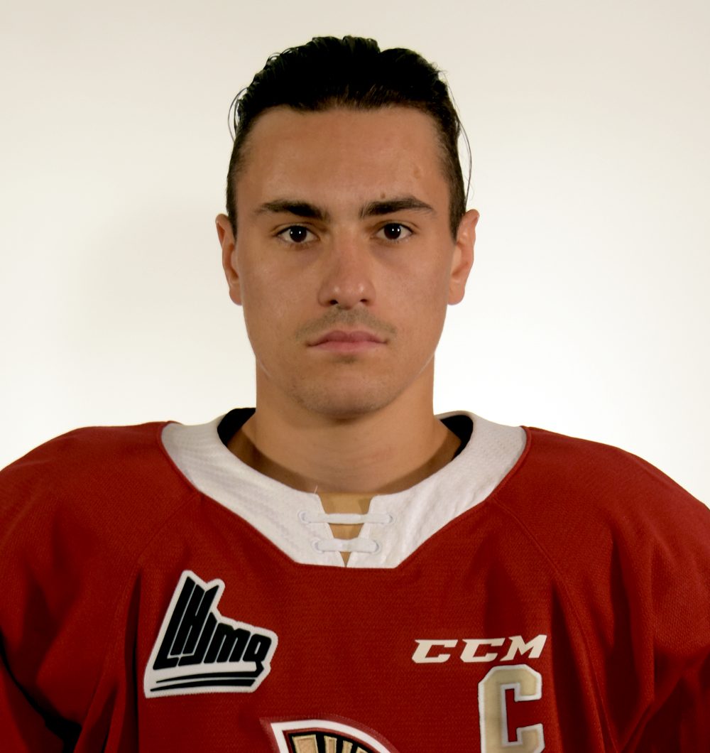 Element, Bourque et Gravel à la Série CanadaRussie La Nouvelle Union