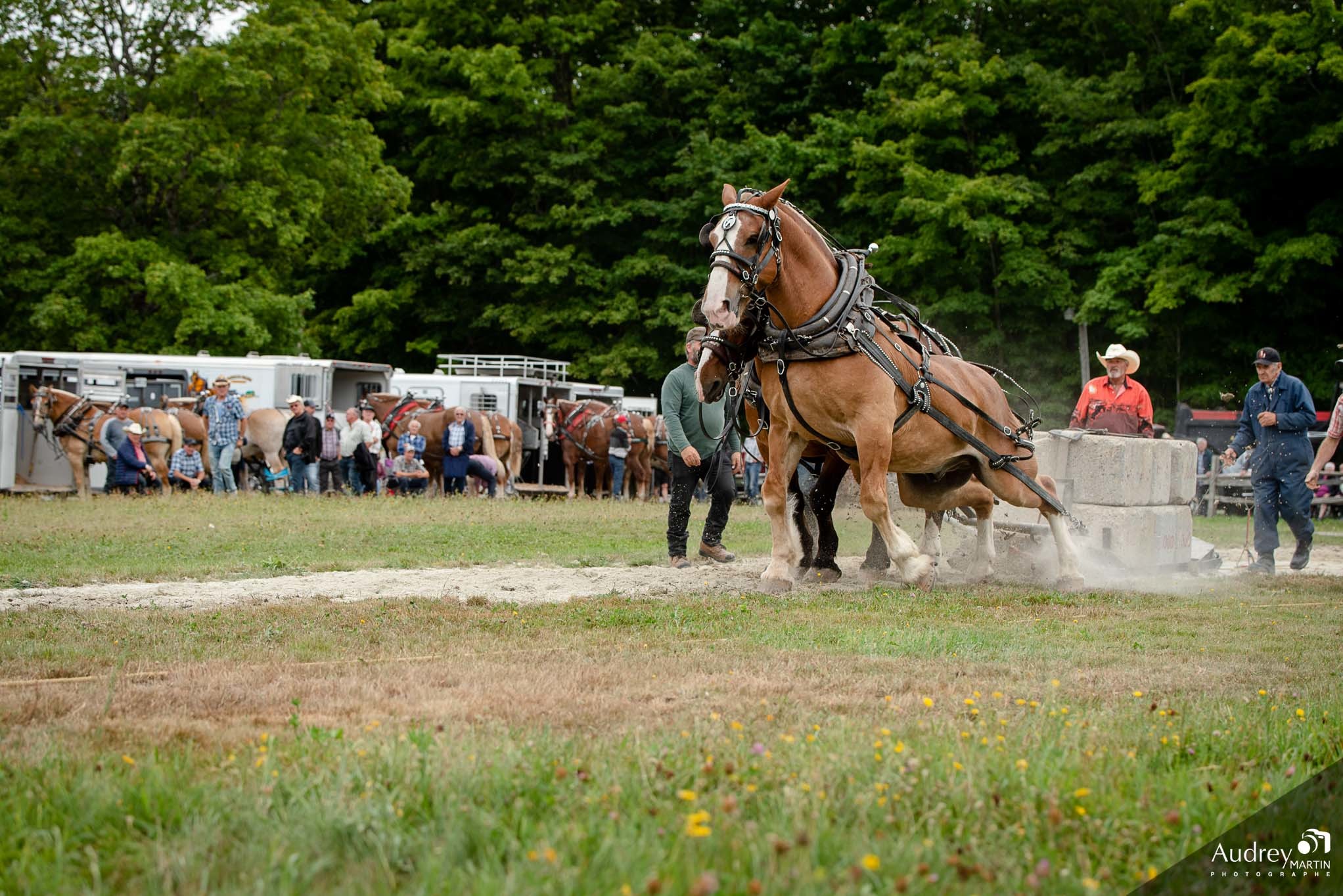 SaintPierreBaptiste en Fête prend le virage new country La Nouvelle