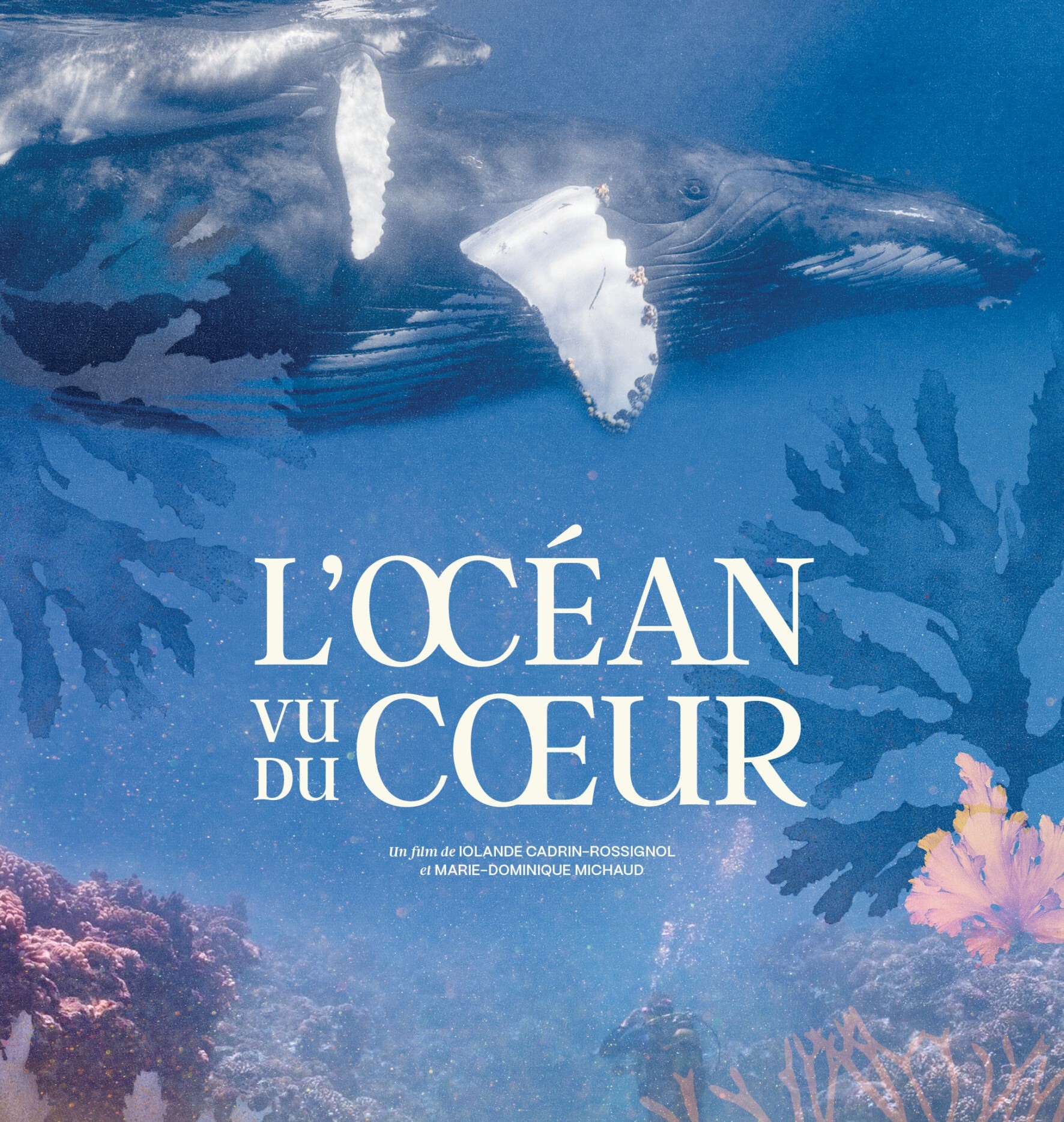Ocean looks from the heart in a film discussion