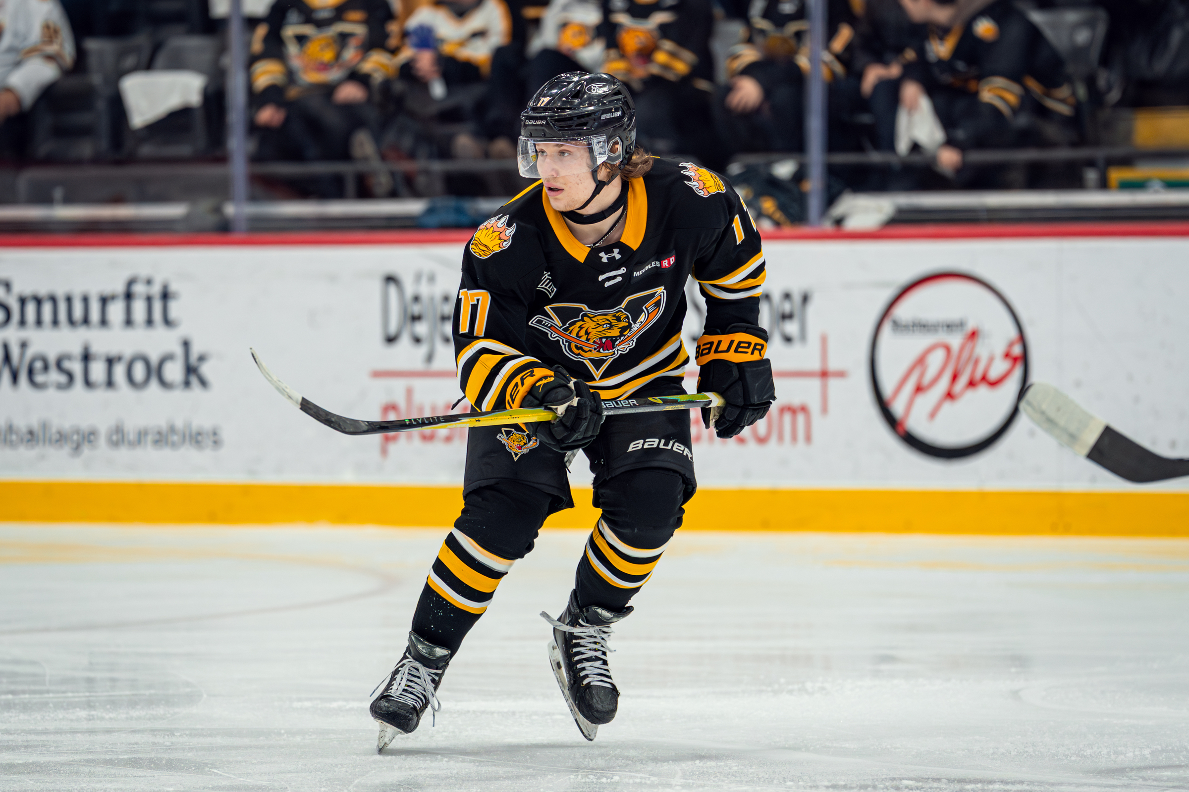 Alexey Vlasov marque quatre buts dans un gain des Tigres face aux Islanders